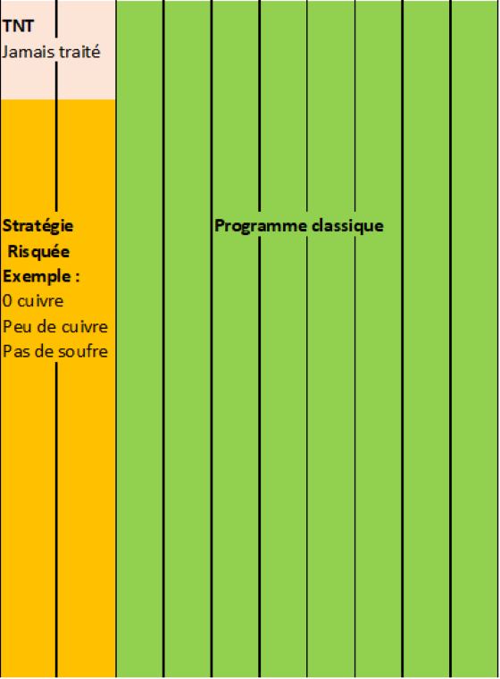 Schematische Darstellung.